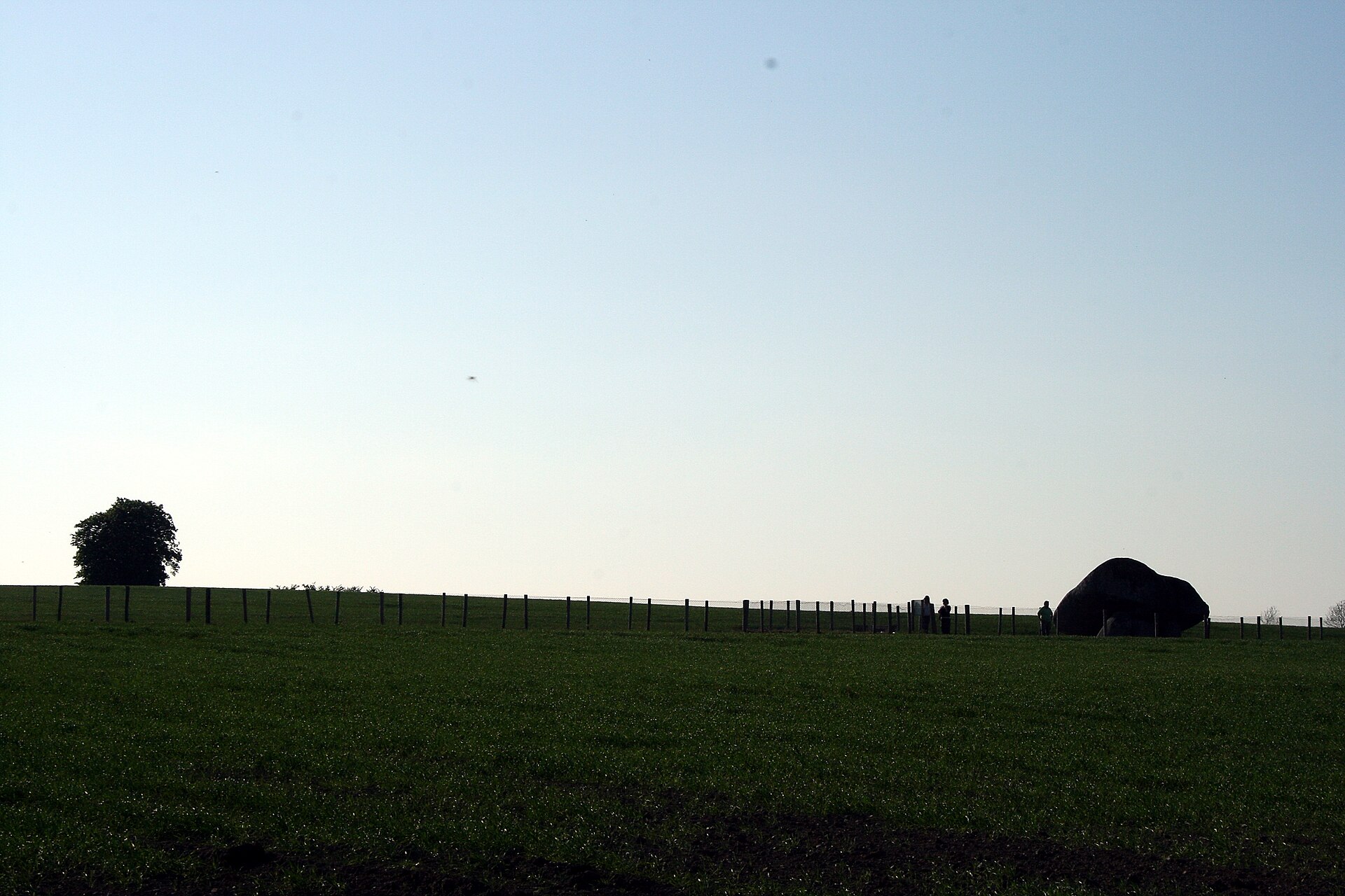 Brownshill Dolmen in County Carlow. Photo by Sarah777, public domain, via Wikimedia Commons.